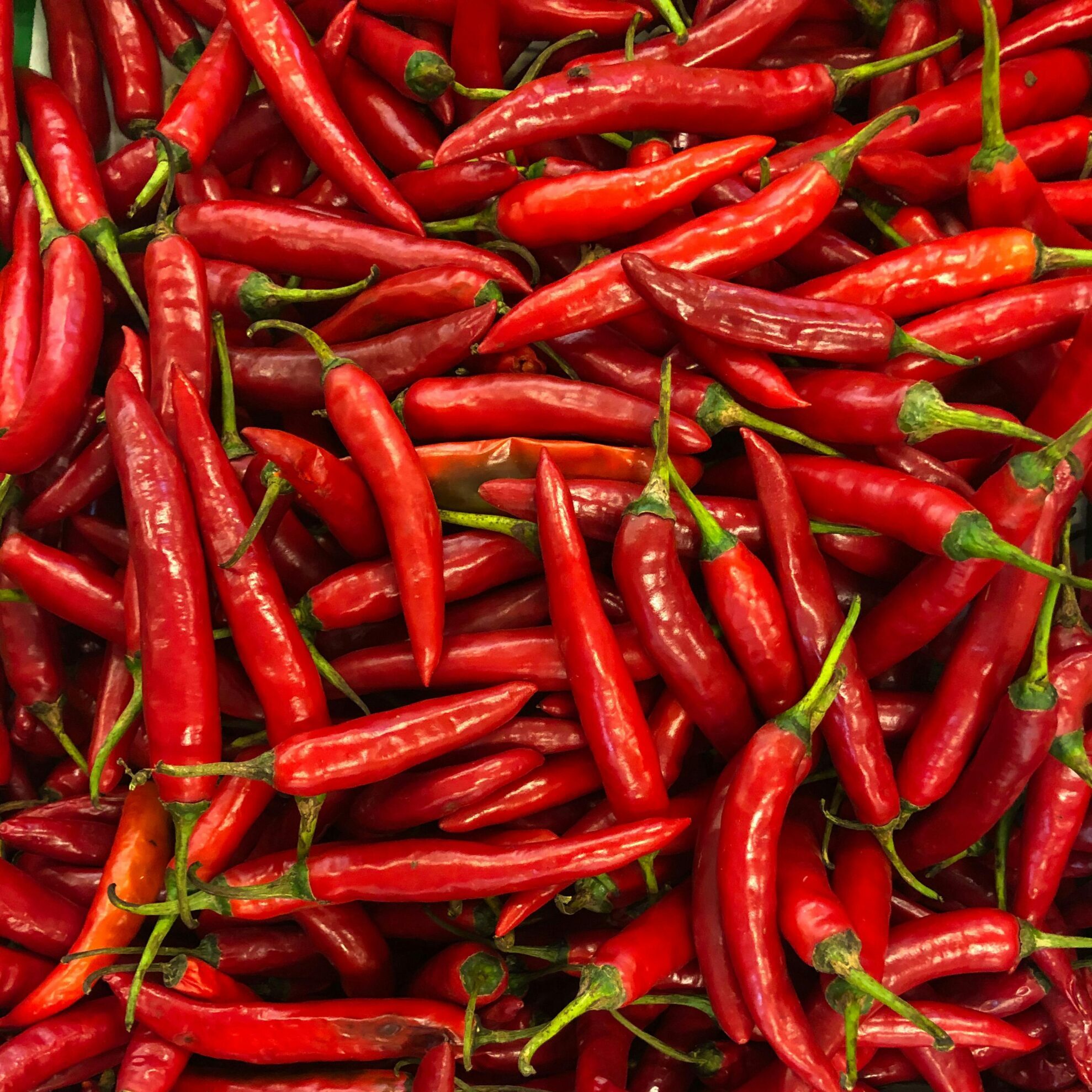 A close-up shot of numerous fresh red chili peppers creating a vivid and spicy visual texture.